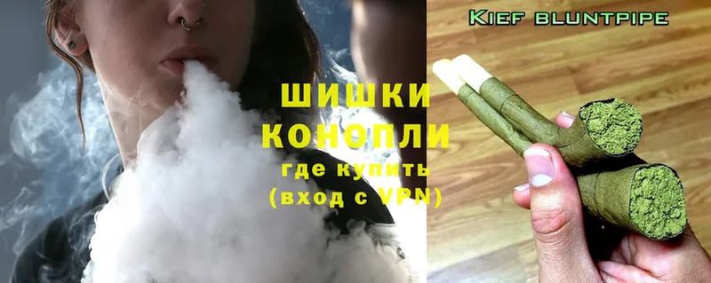 Шишки марихуана Ganja  Великие Луки 